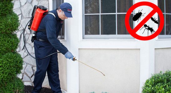 Keles Kemirgen İlaçlama böcek ilaçlama ve haşere kontrolü — ilaclama-tr.com